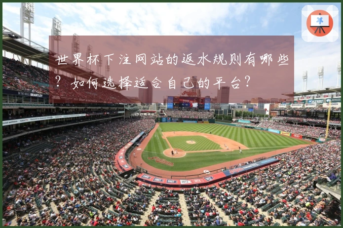世界杯下注网站的返水规则有哪些？如何选择适合自己的平台？