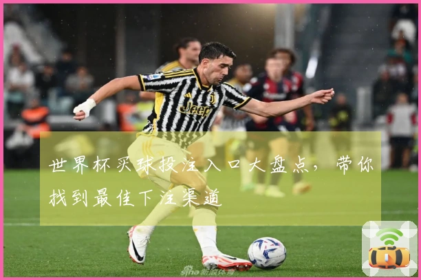 世界杯买球投注入口大盘点，带你找到最佳下注渠道