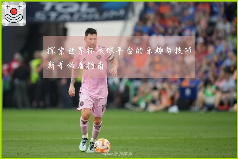 探索世界杯滚球平台的乐趣与技巧新手必看指南