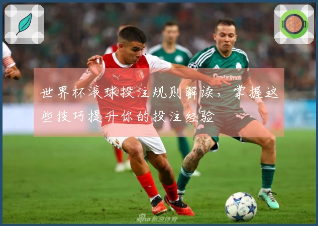 世界杯滚球投注规则解读，掌握这些技巧提升你的投注经验