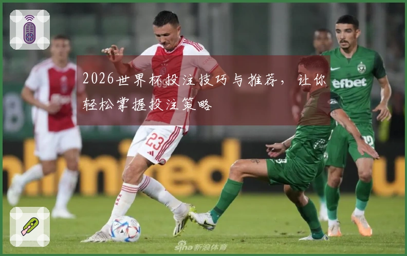 2026世界杯投注技巧与推荐，让你轻松掌握投注策略